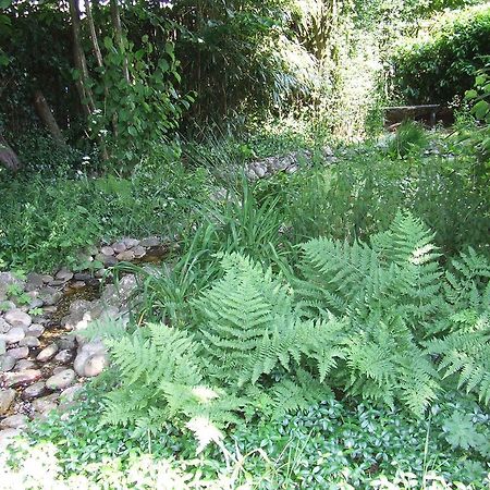 B&B 'T Nije Huus Schoonoord Екстер'єр фото