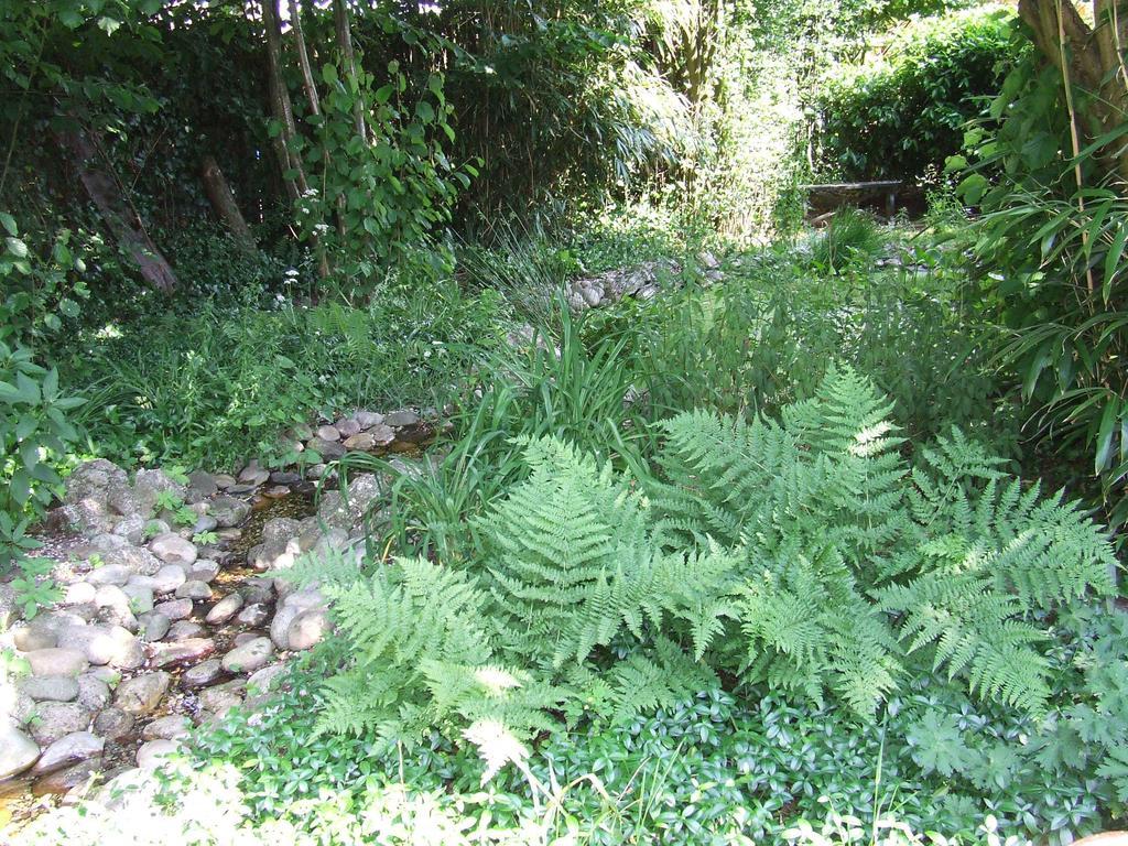 B&B 'T Nije Huus Schoonoord Екстер'єр фото